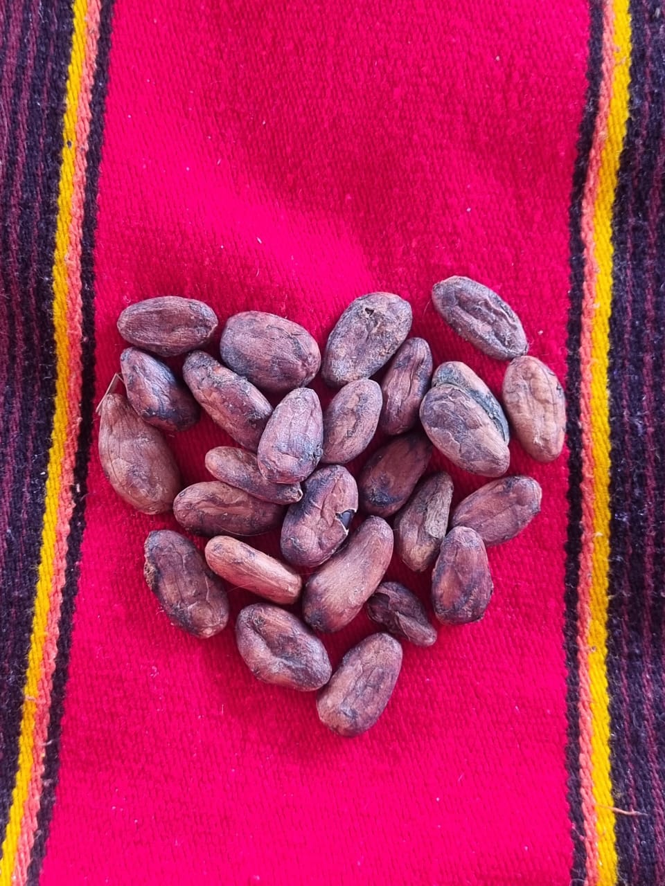 Cérémonie du cacao - Ambiance chaleureuse